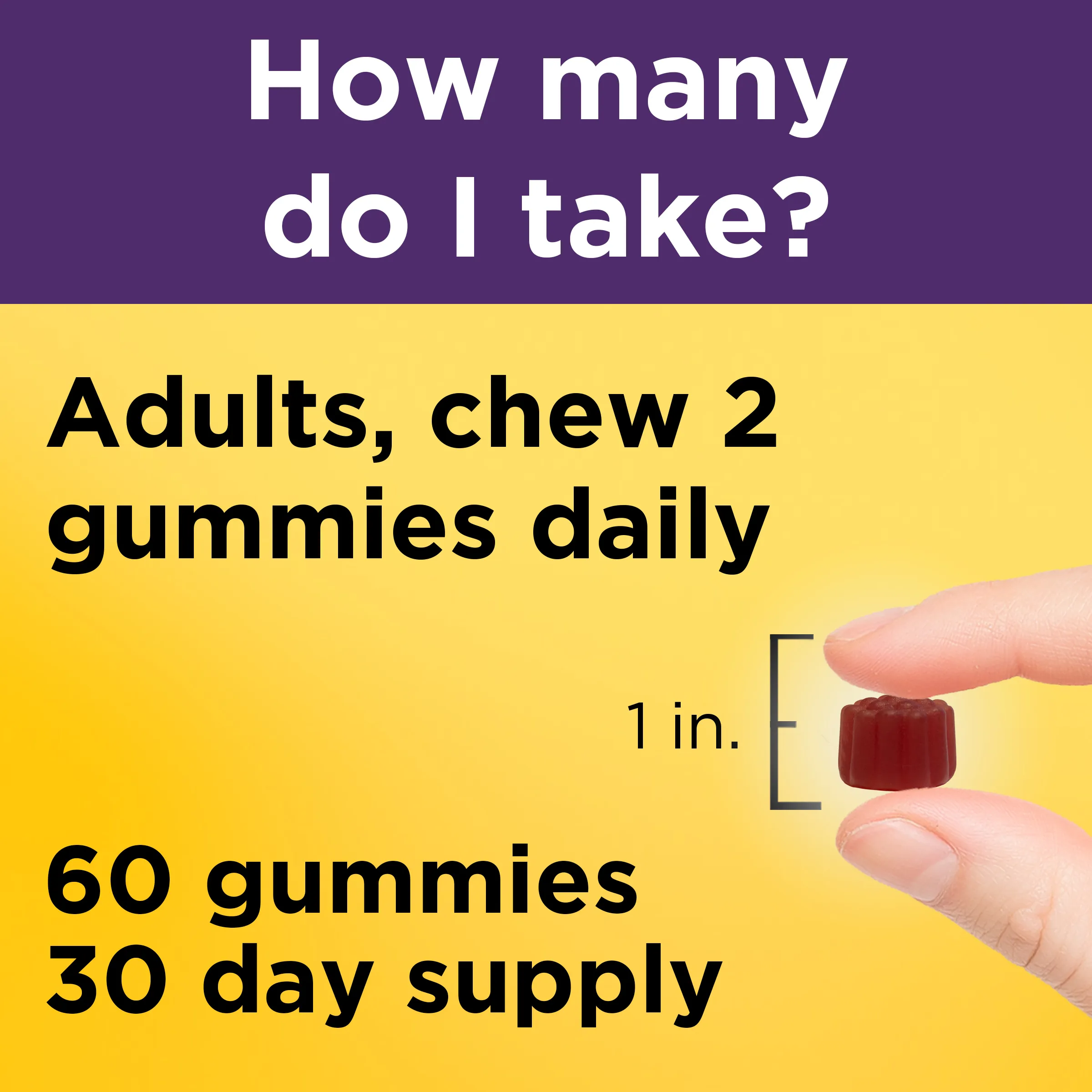 100 mg Elderberry Gummies with Vitamin C & Zinc