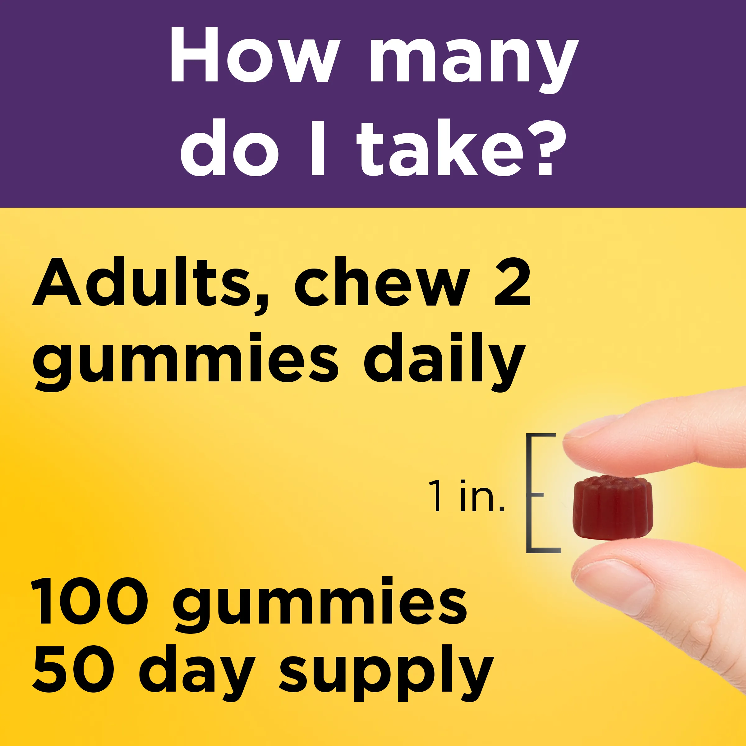 100 mg Elderberry Gummies with Vitamin C & Zinc
