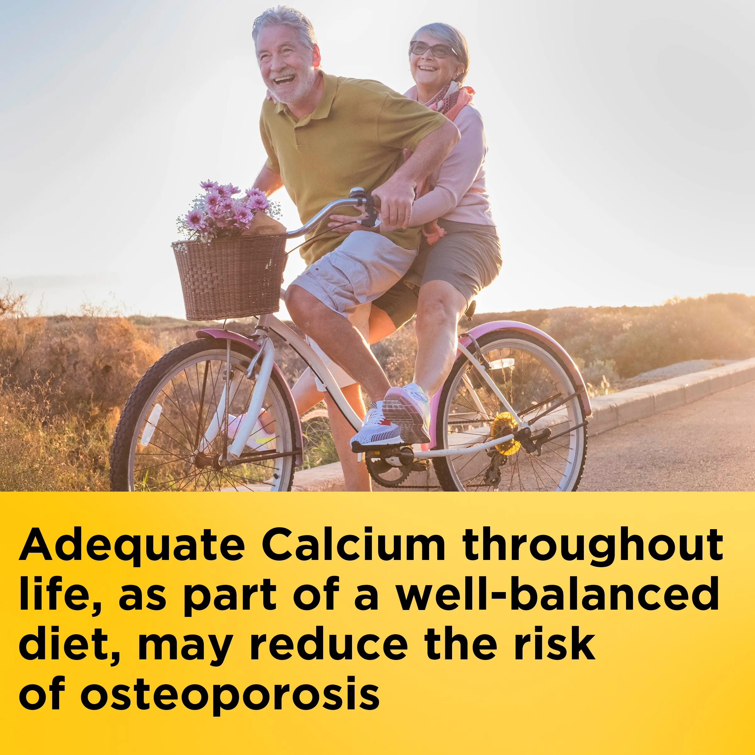 Calcium 500 mg with Vitamin D3 Tablets