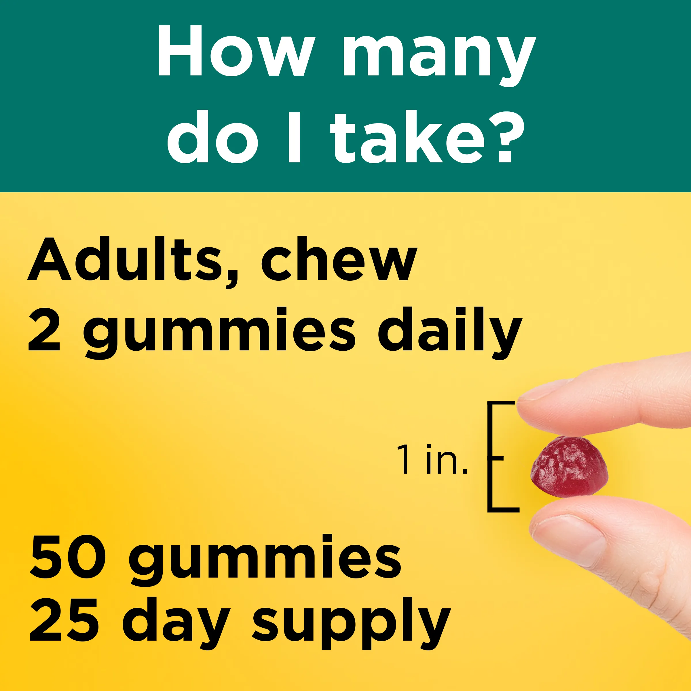 Digestive Probiotics and Energy B12 Gummies