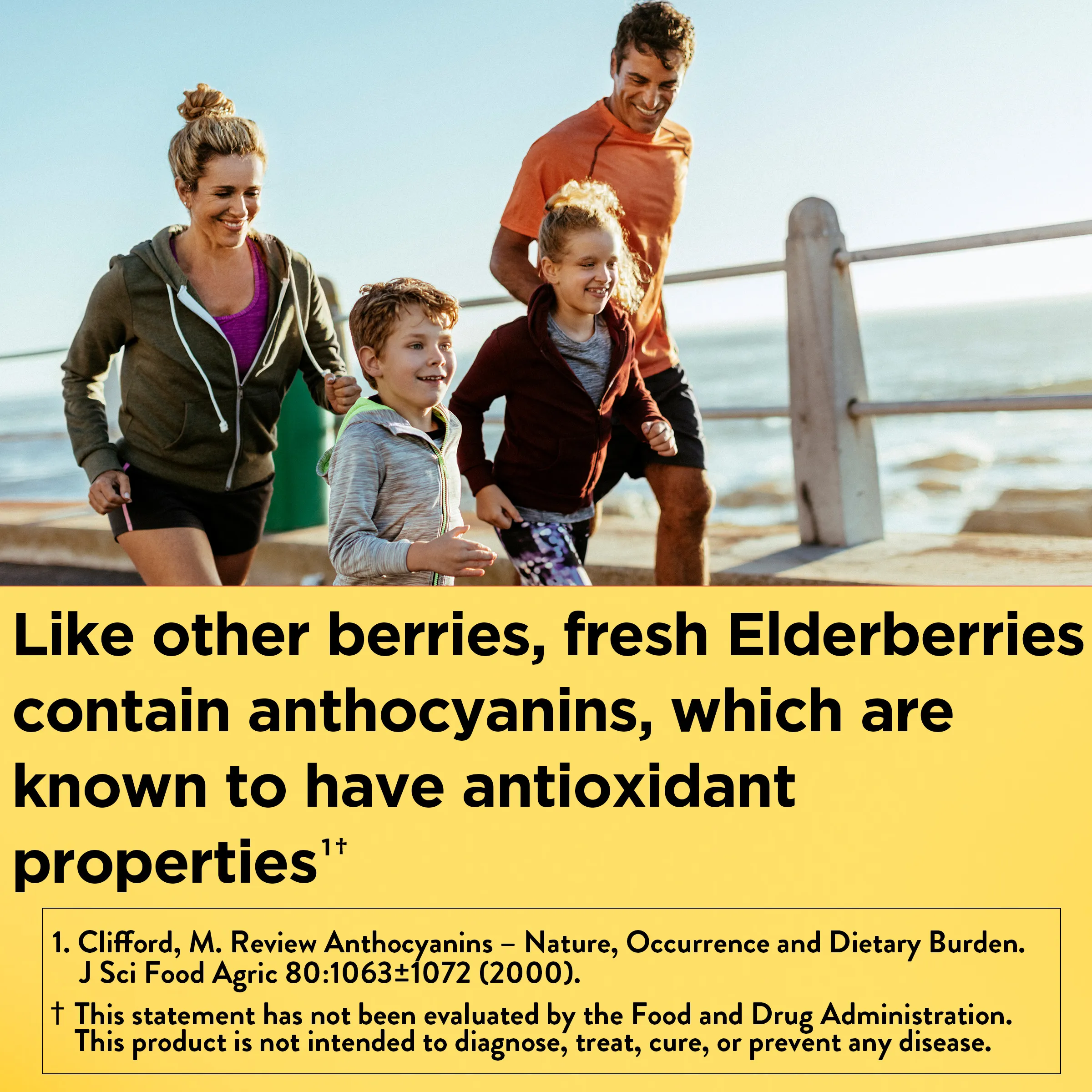 Elderberry Capsules with Vitamin C and Zinc