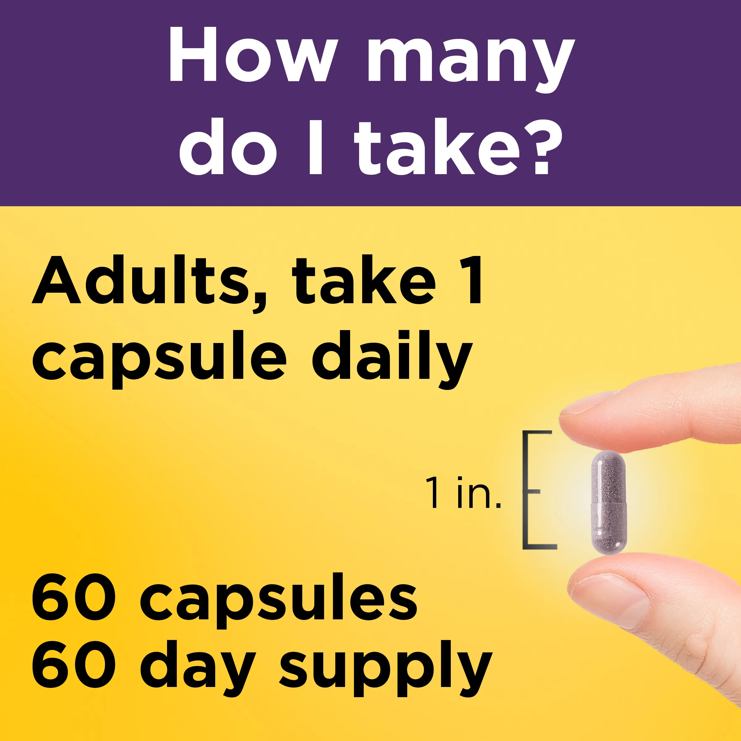 Elderberry Capsules with Vitamin C and Zinc