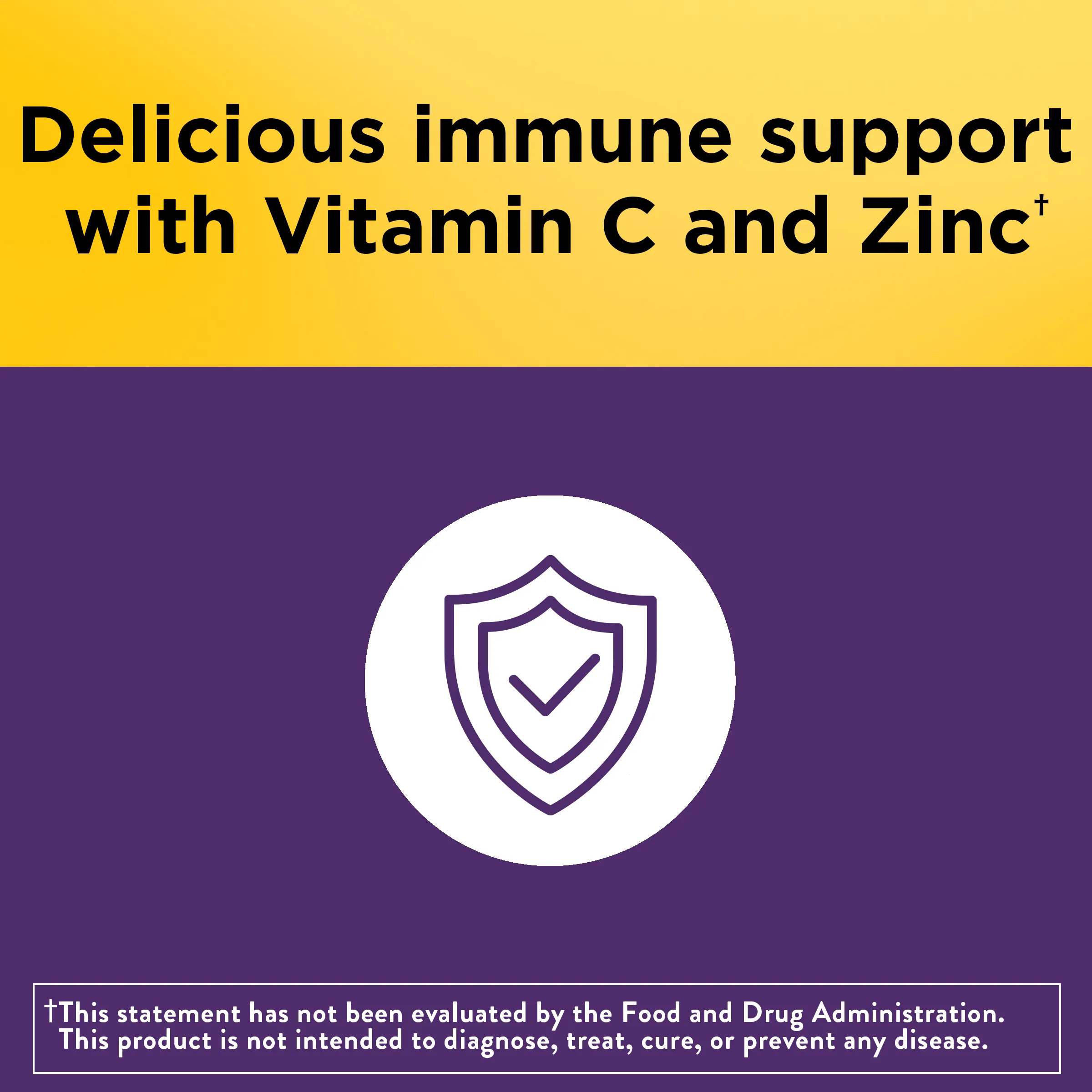 Elderberry Capsules with Vitamin C and Zinc