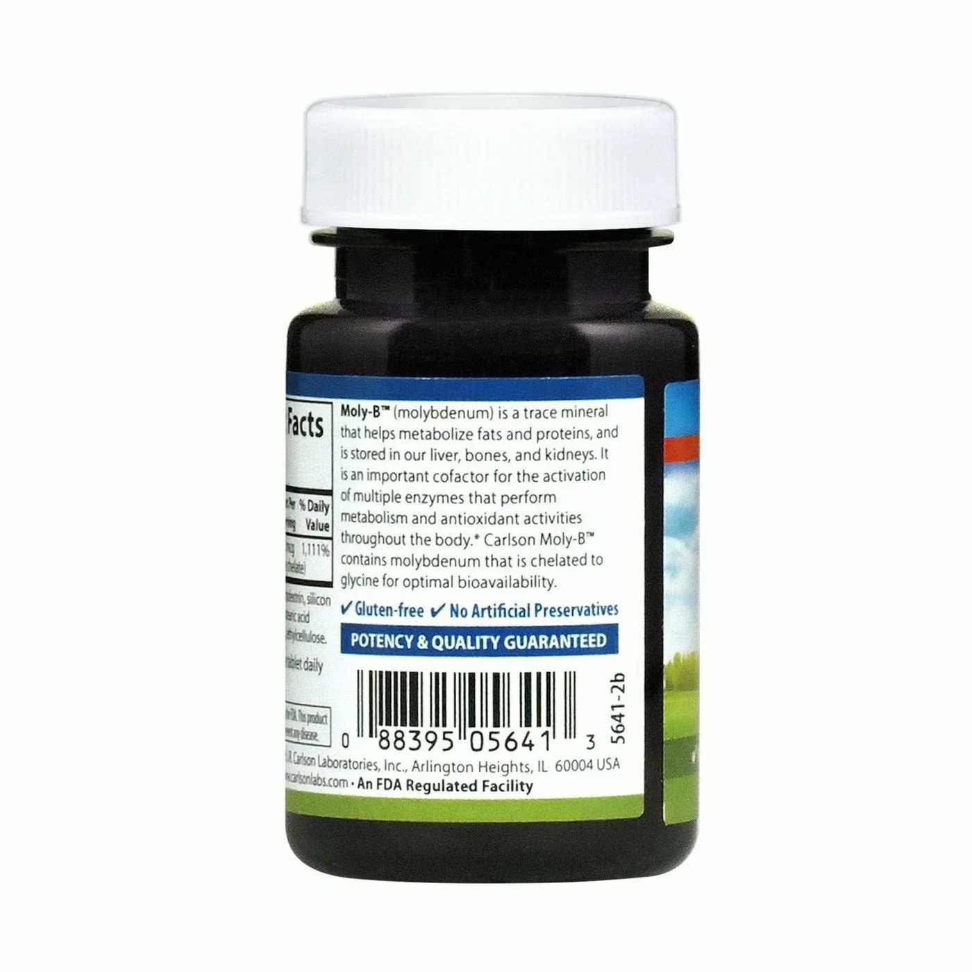 Moly-B 500 mcg 100 tabs by Carlson Labs