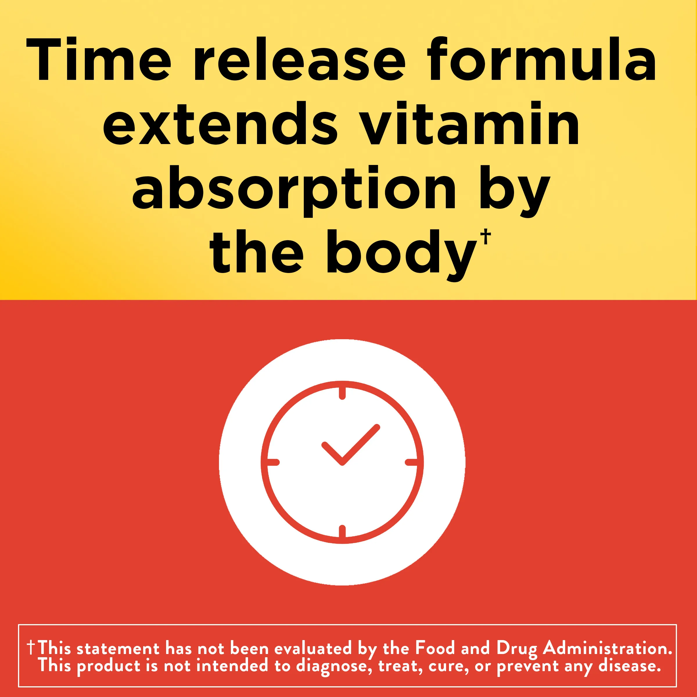 Vitamin C 1000 mg Time Release with Rose Hips Tablets