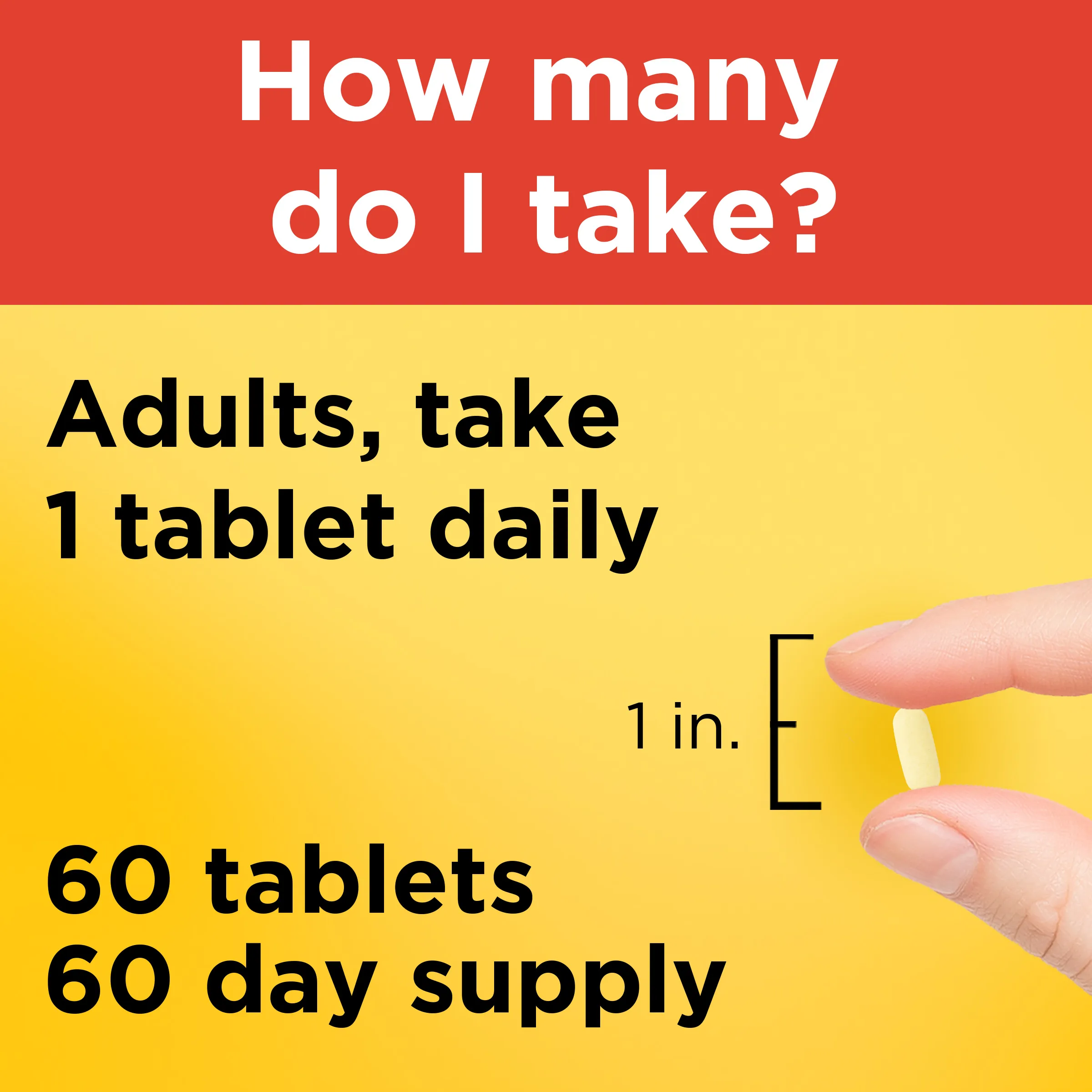 Vitamin C 1000 mg Time Release with Rose Hips Tablets