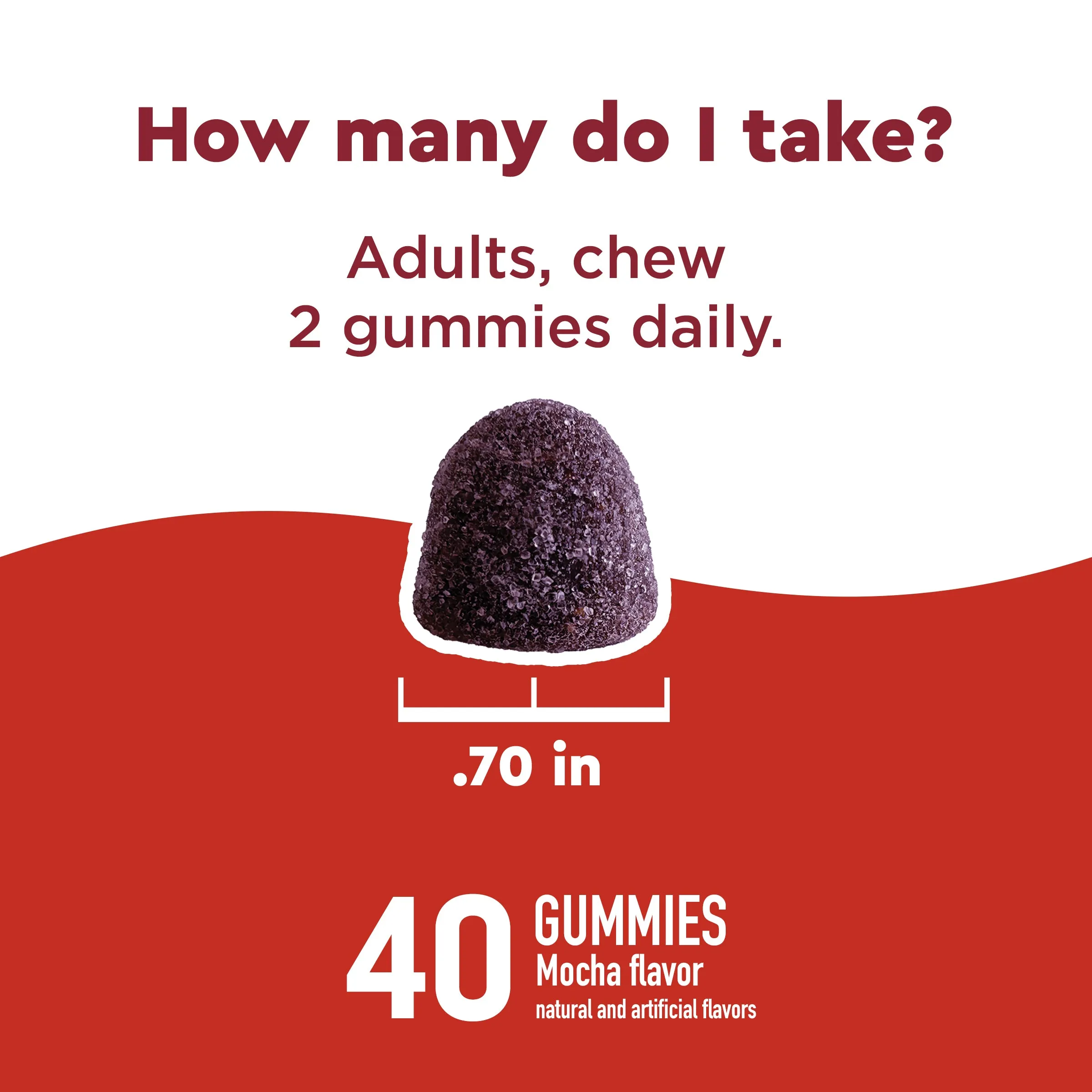Wellblends EnergyMAX Gummies